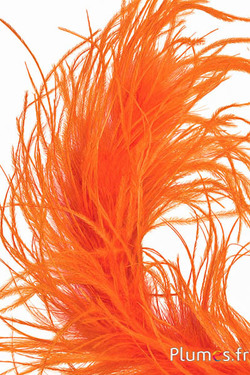 Struisvogel lont - 10 cm - oranje